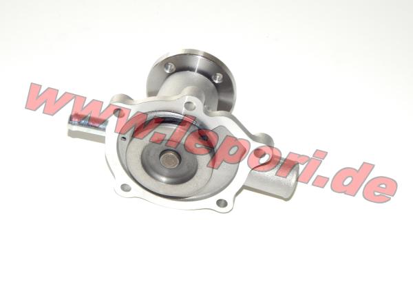 Wasserpumpe Aixam mit Kubota-Dieselmotoren 1.Version